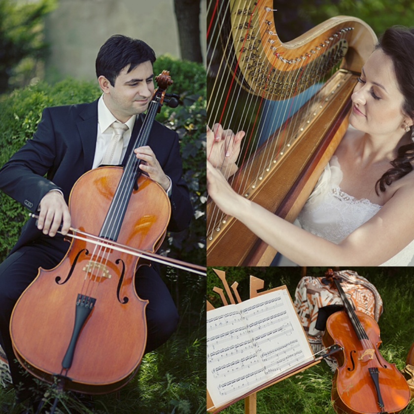 Arfa violančelė renginiams